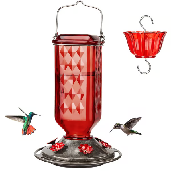 💥 Hummingbird Feeder